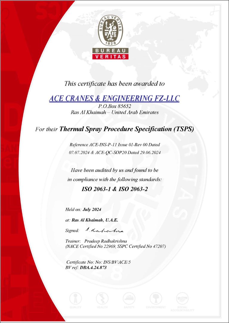 13. TSA - Certificate - BV